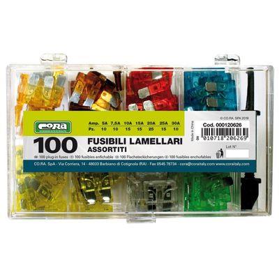 FUSIBILI LAMELLARI ASSORT.100PZ