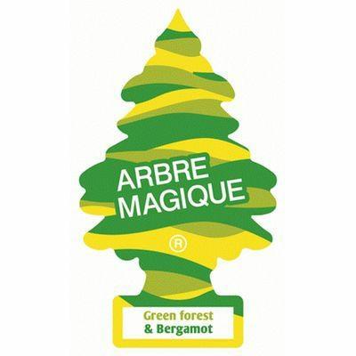 ARBRE MAGIQUE GREEN FOREST & BERGAMOTTO 24PZ