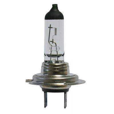 BOSCH LAMPADINA H7 12V 55W