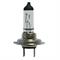 BOSCH LAMPADINA H7 12V 55W