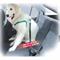 STOPDOG SINGOLO MAXY