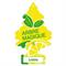 ARBRE MAGIQUE LEMON 24PZ