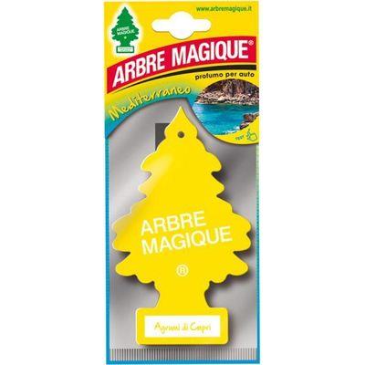ARBRE MAGIQUE AGRUMI DI CAPRI 24PZ