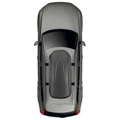 BOX THULE PACIFIC 200 (M)175X82X45 ANTRAC.DOPPIA APERTURA