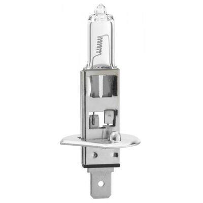 BOSCH LAMPADINA H1 12V 55W