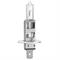 BOSCH LAMPADINA H1 12V 55W
