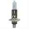 BOSCH LAMPADINA H1 XENON BLUE 12V 55W