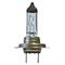 BOSCH LAMPADINA H7 XENON BLUE 12V 55W