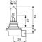 BOSCH LAMPADINA H9 12V 65W
