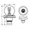 LAMPADA RING 12V 45/40 ASIM.