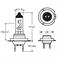RING LAMPADA LONG LIFE 12V 55W H7