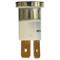 RING LAMPADA ZOCC. BIANCO 24V 1,5W