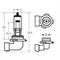 RING LAMPADA ALOGENA 12V 53W H12