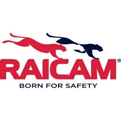 CUSCINETTI IDRAULICI RENAULT CLIO - KANGOO - LOGAN - MEGANE