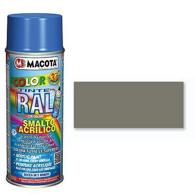Vernice Color 3G (Ral 7003) Grigio muschio