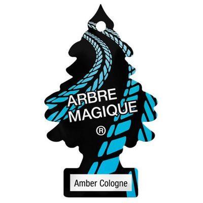 ARBRE MAGIQUE RACING AMBER COLOGNE 24PZ