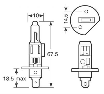 2 LAMPADE 12V H1 XENON +150 RING