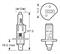 2 LAMPADE 12V H1 XENON +150 RING