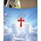 CT 12 PZ DEO SALVATORE RED HOLY WOODS BLISTER