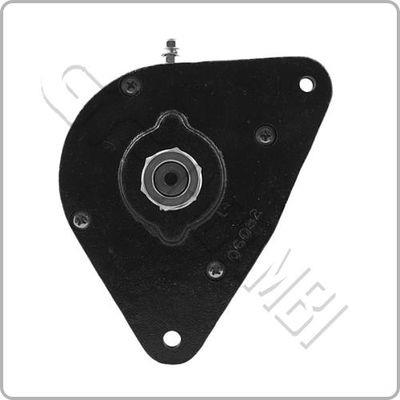 DC1011 Dinamo Ape