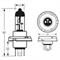 RING LAMPADA ALOGENA 12V 60/55W (H5)