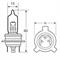 #RING LAMPADA AUTO USA/JAPAN 12V 55/40W